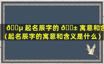 🌵 起名辰字的 🐱 寓意和含义（起名辰字的寓意和含义是什么）